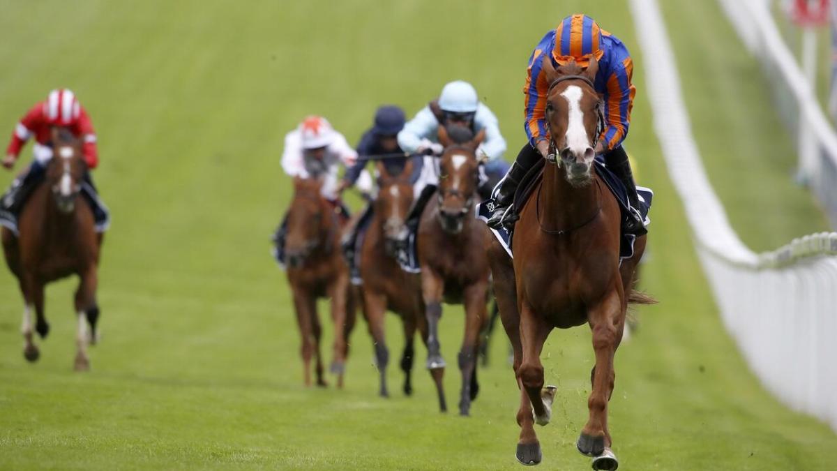 Racing at York